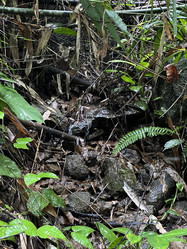 Similar image 21699661