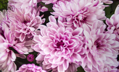 Similar image 21699662