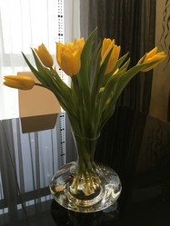 Similar image 21699663