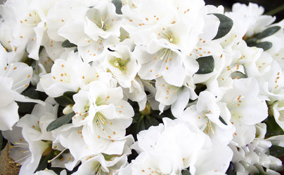 Similar image 21699664