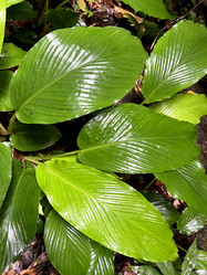 Similar image 21699665