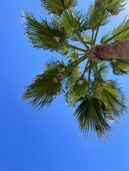 Similar image 21699667