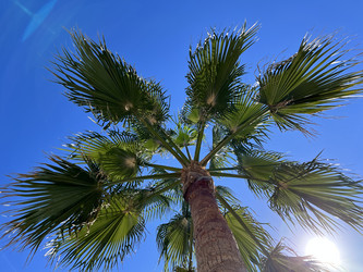 Similar image 21699669