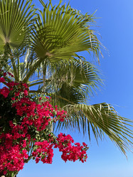 Similar image 21699671