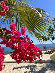 Similar image 21699672