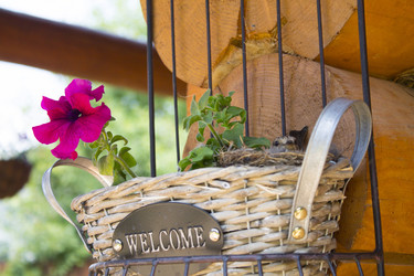 Similar image 21699674