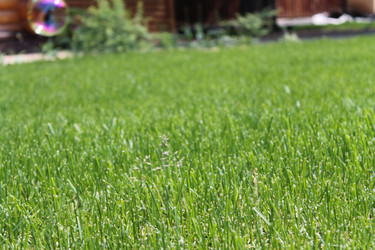 Similar image 21699676