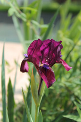 Similar image 21699678