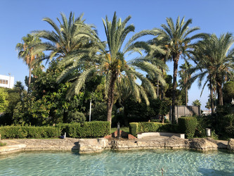 Similar image 21685777