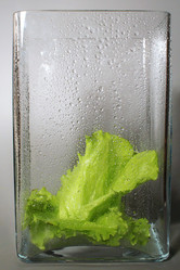 Similar image 21699691