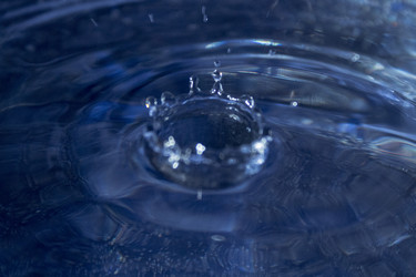 Similar image 21699692