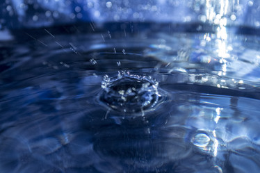 Similar image 21699694