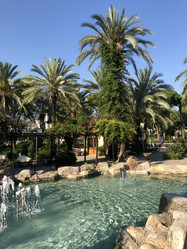 Similar image 21699696