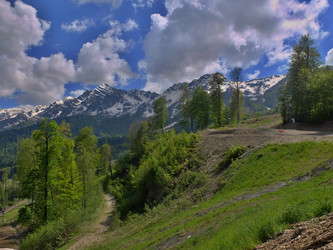 Similar image 21701595