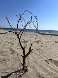 Similar image 21685780