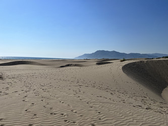 Similar image 21685782