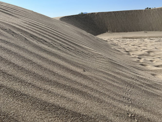 Similar image 21685784