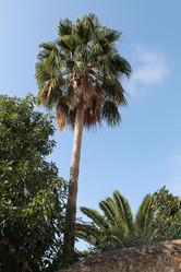 Similar image 21685786