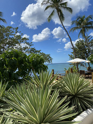 Similar image 21685788