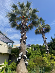 Similar image 21685790