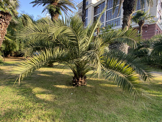 Similar image 21685938