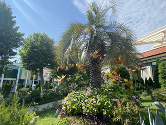 Similar image 21685976