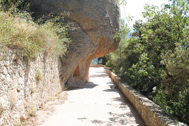 Similar image 21699714