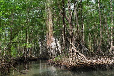 Similar image 21685791