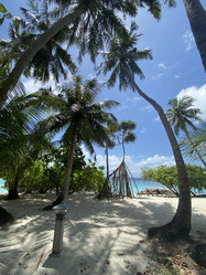 Similar image 21685792