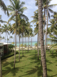 Similar image 21685794