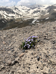 Similar image 21699033