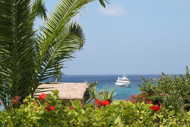 Similar image 21699718