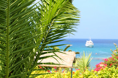 Similar image 21699721