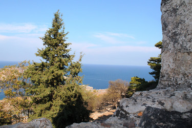 Similar image 21699730