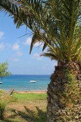 Similar image 21699731