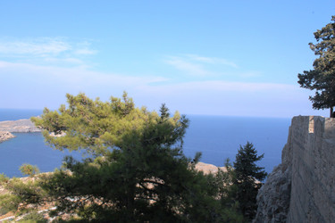 Similar image 21699734