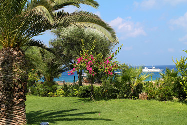 Similar image 21701608