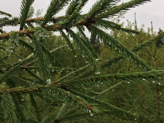 Similar image 21703107