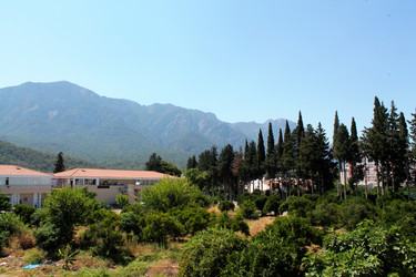 Similar image 21685803