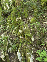 Similar image 21685805