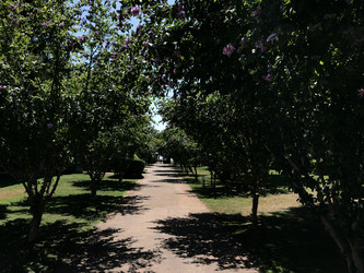 Similar image 21685806