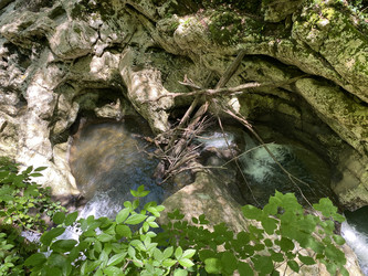 Similar image 21685809