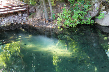 Similar image 21685810