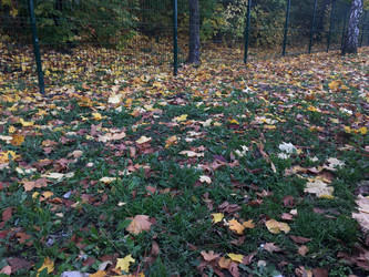 Similar image 21701618