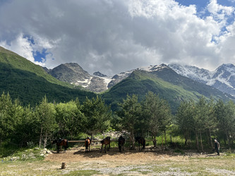 Similar image 21685982