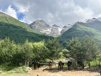 Similar image 21685984