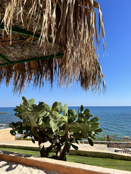 Similar image 21697119