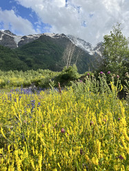 Similar image 21697120