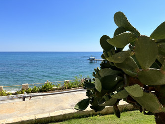 Similar image 21699746