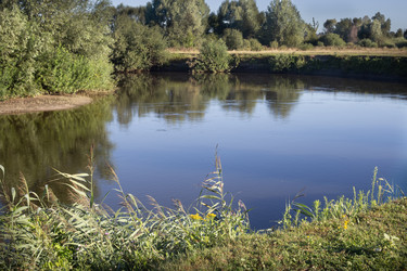 Similar image 21699587